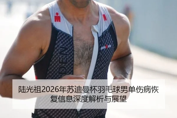陆光祖2026年苏迪曼杯羽毛球男单伤病恢复信息深度解析与展望