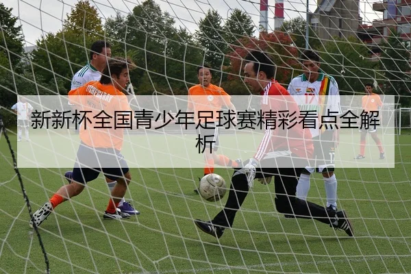 新新杯全国青少年足球赛精彩看点全解析